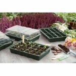 Comprar Mini invernadero de cultivo 23.5x35x11 cm