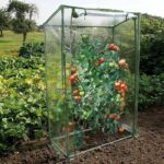 Comprar Naturaleza invernadero de tomate - h150 x 100 x 50 cm