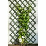 Comprar Nature garden trellis 50 x 150 cm madera verde