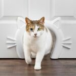 Comprar Paso para gatos - petsafe - cat corridor™ - blanco