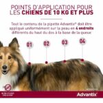 Comprar Pipetas antiparasitarias advantix 4: para perros grandes de más de 25 kg