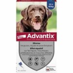 Comprar Pipetas antiparasitarias advantix 4: para perros grandes de más de 25 kg