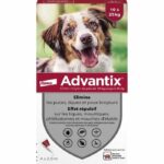 Comprar Pipetas antiparasitarias advantix 4 - para perros medianos de 10 a 25 kg