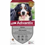 Comprar Pipetas antiparasitarias advantix 6 - para perros muy grandes de 40 a 60 kg - 6 x 6 ml