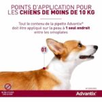 Comprar Pipetas antiparasitarias advantix 6: para perros pequeños de 4 a 10 kg