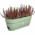 Comprar Plantador rectángulo vibia - plástico - tanque - Ø50 - verde