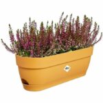 Comprar Plantilla rectangular de vibia - plastic - tank - Ø50 - pushing pink