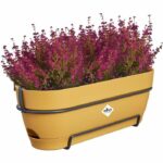 Comprar Plantilla rectangular de vibia - plástico - tanque - Ø50 - miel amarilla