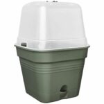 Comprar Pot de flores cuadradas básicas verdes - plástico - tanque - Ø20 - verde hoja