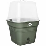 Comprar Pot de flores cuadradas básicas verdes - plástico - tanque - Ø20 - verde hoja