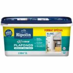 Comprar Ripolin pintura de protección extrema para techos habitación grande 3l