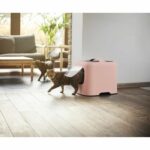 Comprar Rotho - aseo para gatos 57 x 39 x 40 cm - caja de arena - rosa