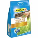 Comprar Semillas de césped dry sunny ground 3 kg