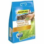 Comprar Semillas de césped dry sunny ground 3 kg