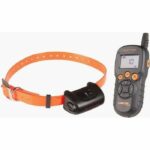 Comprar Set de entrenamiento num'axes canicom 5.500 con un alcance de 500 m - para 1 o 2 perros