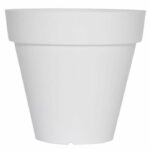 Comprar Soleilla rond 50 blanco