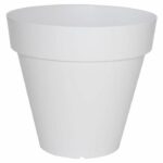 Comprar Soleilla rond 50 blanco