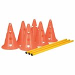 Comprar Trixie lote de 3 actividades de obstáculos - Ø 23 × 30 cm - 78 cm - naranja y amarillo - para perros