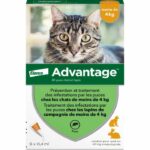 Comprar Ventaja 40 - 6 pipetas antiparasitarias - para gatos y conejos de menos de 4 kg