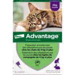 Comprar Ventaja 80 - 6 pipetas antiparasitarias - para gatos y conejos de 4 kg y más