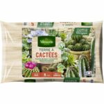 Comprar Vilmorin cactus tierra 5 l