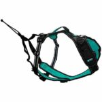 Comprar Arnés para perros - symbioz - xl - negro / azul