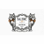 Comprar Espíritus balin - old tom gin - 40 ° - 50 cl