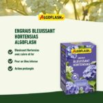 Comprar Fertilizante blue hydensias - algoflash naturasol naturasol - acción extendida 800g