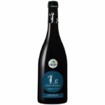 Comprar Jardin de goganes 2022 chinon - vino tinto del loira