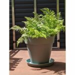 Comprar Jardinera redonda riviera soleilla - plástico - diámetro 60 cm verde arcilla