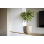 Comprar Maceta de bolas - capi europe - waste smooth nl - 35 x 34 cm - terrazo beige