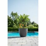 Comprar Maceta - garden id - phoenix antracita - 38 x 34 cm - 100% reciclado y reciclable - resistente a las heladas y a los rayos uv - para exterior