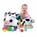 Comprar Piscina de bolas musical vtech maxi peluche