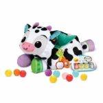 Comprar Piscina de bolas musical vtech maxi peluche