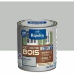 Comprar Ripolin pintura para madera satinada alta protección 10 años que protege y magnifica tu madera - gris claro