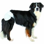 Comprar Trixie pañales para perros talla l