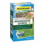 Comprar Algoflash seed turf reline express - 1 kg