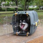 Comprar Cesta de transporte para gatos y perros pequeños jet 10 - plástico - ferplast