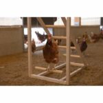 Comprar Torre trepadora para gallinas - kerbl - 85 x 55 x 76 cm - con columpio - escalera robusta