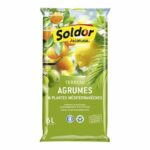 Comprar Algoflash - tierra de cítricos y plantas mediterráneas 6 l