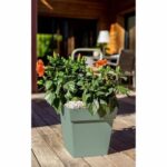 Comprar Eda toscana square flower pot 39 cm - 38 l - 39 x 39 x h 39 cm - laurel verde