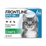 Comprar Frontline spot on cat - 6 pipetas