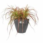 Comprar Jardinera redonda elho vibia campana 55 - negro - Ø 55 x h 47 cm - exterior - 100% reciclado