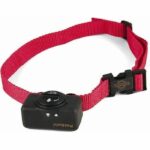 Comprar Pbc19-10765 collar de control de corteza petsafe estándar