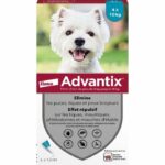 Comprar Pipetas antiparasitarias advantix 4: para perros pequeños de 4 a 10 kg