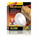 Comprar Solar glo 80w - exo terra