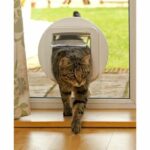 Comprar Sureflap adaptador de montaje para solapa de gato microchip blanco