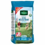 Comprar Vilmorin césped ultra resistente label rouge 5kg incluido 1 kg gratis