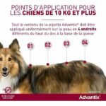 Comprar Advantix 4 pipetas antiparasitarias - para perros muy grandes de 40 a 60 kg - 4 x 6 ml