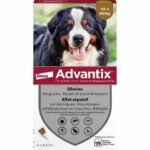 Comprar Advantix 4 pipetas antiparasitarias - para perros muy grandes de 40 a 60 kg - 4 x 6 ml